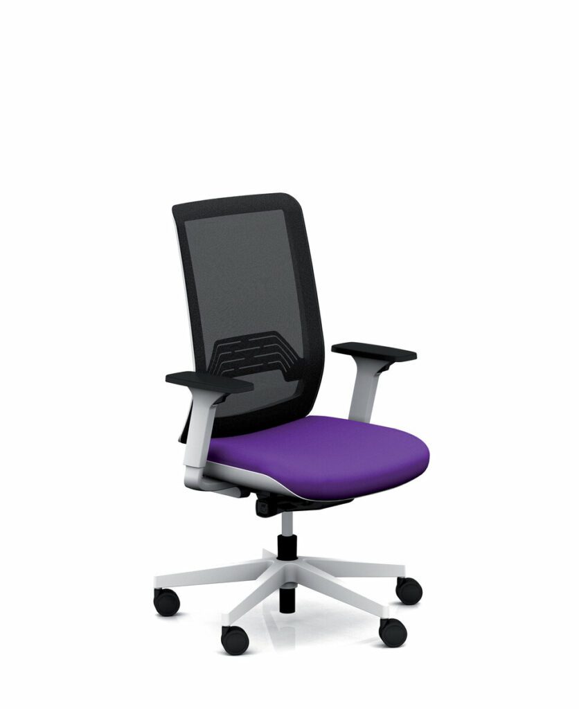 chaise de bureau soutien lombaire Valence
